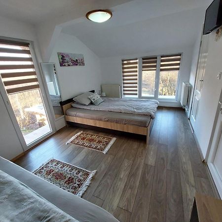 Cabana Casa Lu'Baciu Arpasu de Sus Luaran gambar