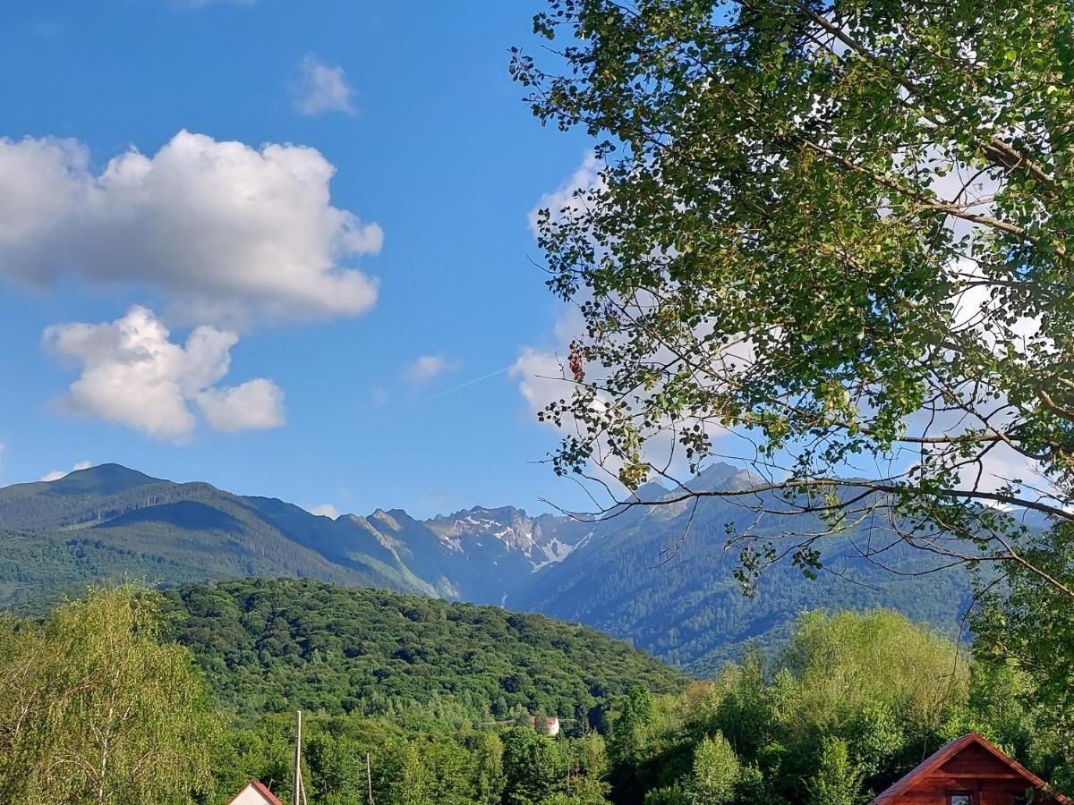 Cabana Casa Lu'Baciu Arpasu de Sus Luaran gambar